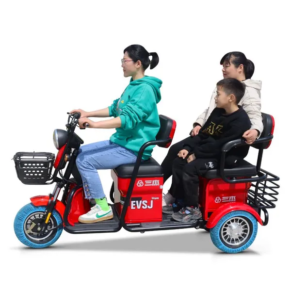 Electric Tricycle 60v 800w Bike Other Motorized Cargo Trike 3 Wheel Family Child Bike Prices Motorcycle Holland Adult photo-2