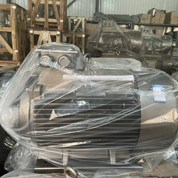 Rare Earth Permanent Magnet Synchronous Motor, Environmentally Friendly and Energy-saving Motor, Trend Product, Tyb-90s L-4/1.1kw 1.5kw photo-5