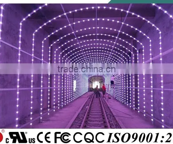 YD CE UL Approved IP68 Amusement Rgb Led photo-3