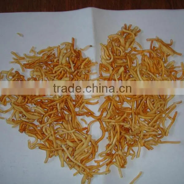Hot Sale Line of Frying Snack With the Different Capacity photo-2