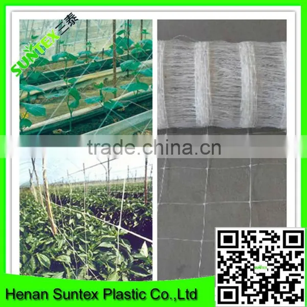 pe Orchard Net and Professional Agricultural Net for Vegetable Support photo-6