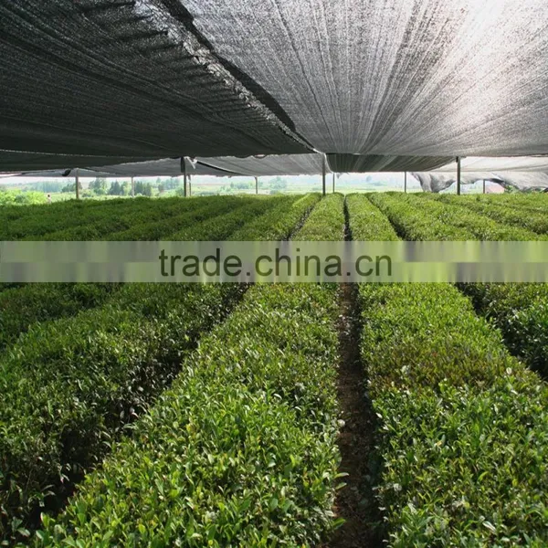 Affordable Dark Green Sun Shade Netting photo-4