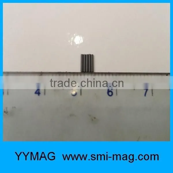 Professional Micro/mini Magnet for Toy photo-5