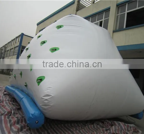 PVC Water Sports Inflatable Icerberg Float photo-3