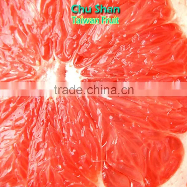 Fresh Grapefruit Best Price