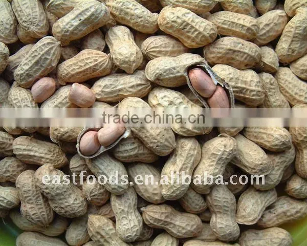 2014 Crop Chinese Peanut Kernel photo-3