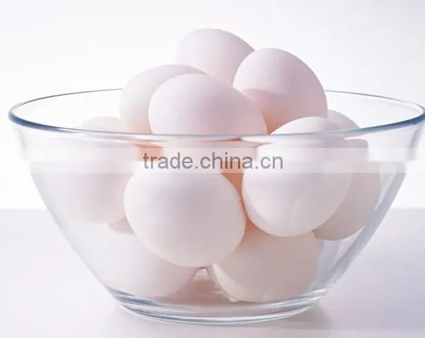 Electric Egg Steamer / Egg Cooker / Egg Warmer /egg Boiler photo-5