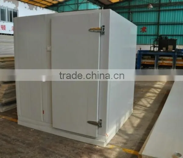 Polyurethane Hinged Cold Room Door Cold Storage Door Swing Door photo-3