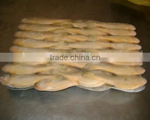 The Ship Frozen Small Yellow Croaker Farming