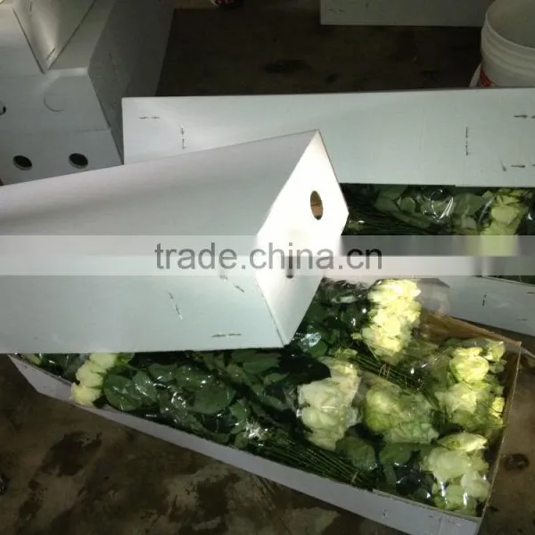 Fresh Cut Roses Available...
