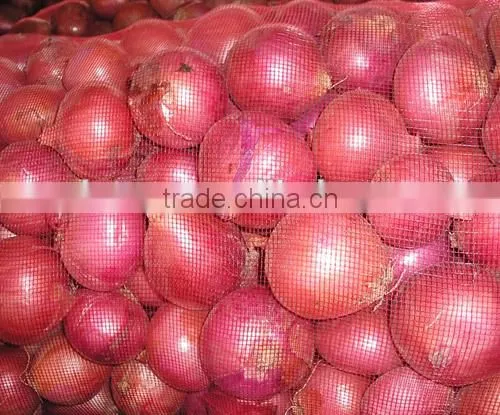 Fresh Onion Red Onion photo-3