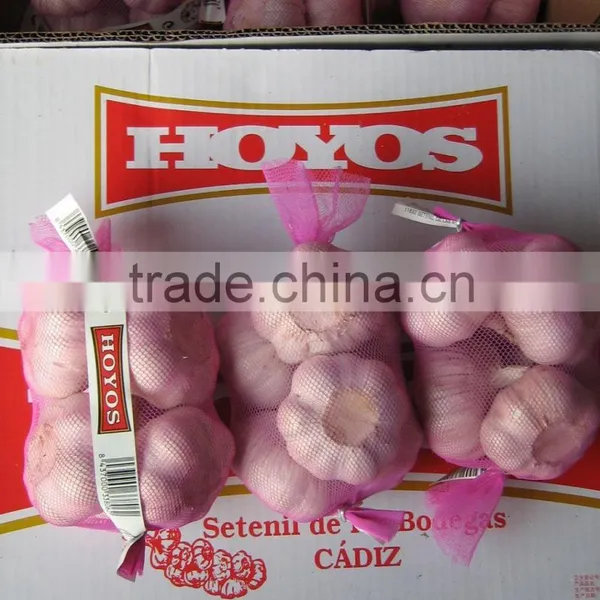 6.5CM Garlic