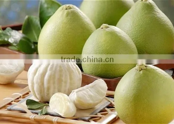 Pomelo photo-4
