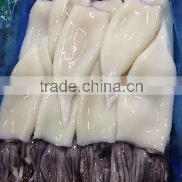 Frozen Squid Tube Fish U5 photo-4
