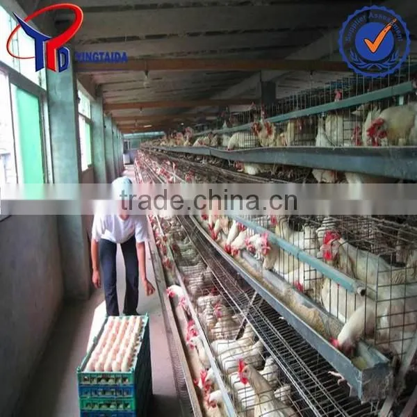 Anping Layer Chicken and Broiler Chicken Cage Factory photo-4