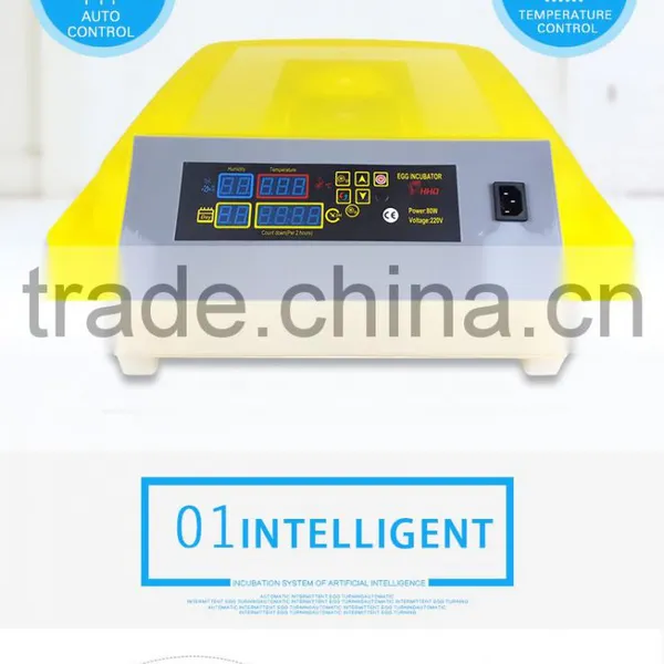 YZ-56 HHD Most Popular Clean Chicken Egg Incubator Hatching Machine for Sale photo-4