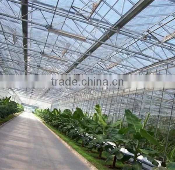 Light Frame Steel Structure Building for Greenhouse, Poultry Farm With Really Low Cost photo-5