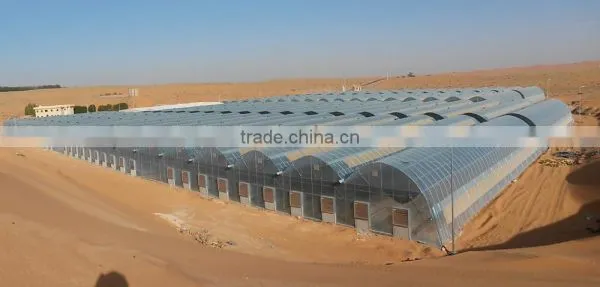 Hydroponic Systems for Greenhouses photo-6