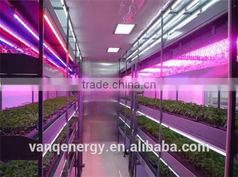 20W Led Grow Light Tube Vertical Farming Hydroponic/aquaponics Tomato Led Light photo-2