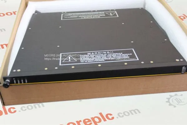 TRICONEX 9563-810 photo-2