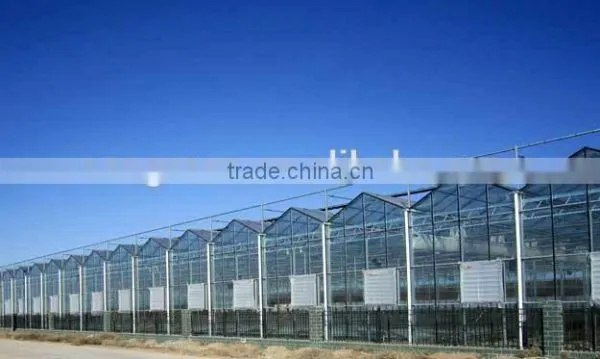 Glass Greenhouse-2 photo-2