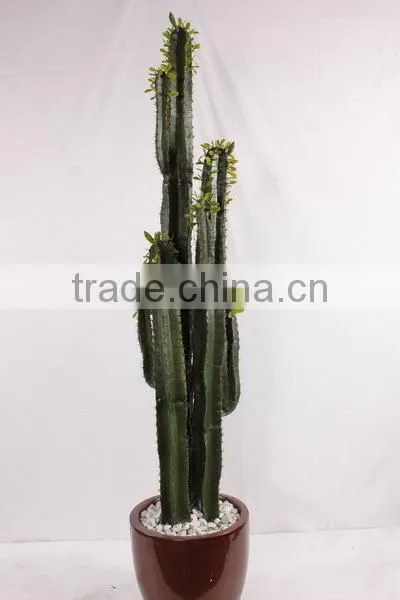 SJ3001107Ornamental Artificial Green Cactus Plants photo-5