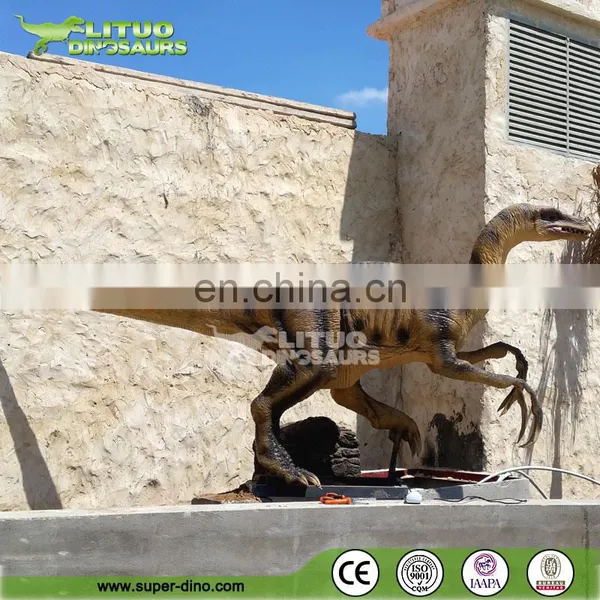 Lifelike Animatronic Velociraptor for Sale photo-6