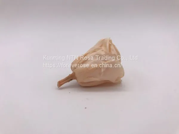 Preserved Rose Flowers for Wedding Decoration Flower Arrangement photo-4