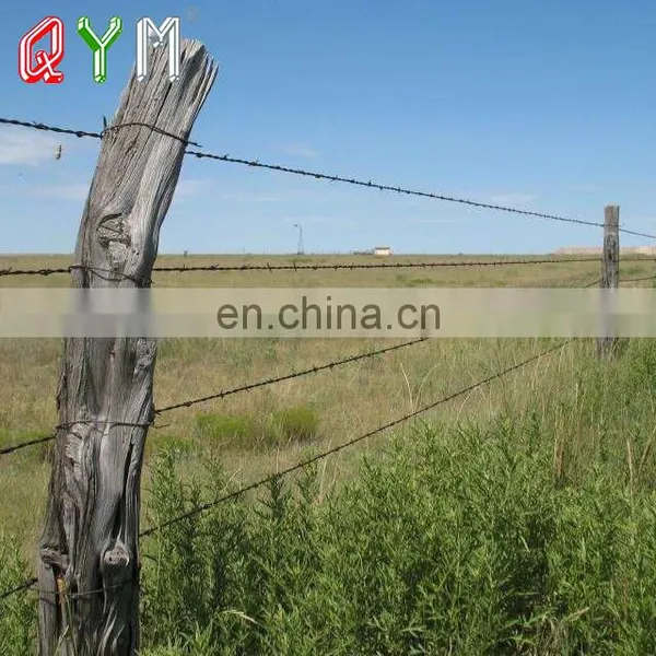 Low Price Barbed Wire Prison Barbed Wire Fencing Wire Barbed photo-5