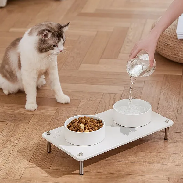 Elevated Pet Food Feeding Mat Water Absorbing Diatomite Stone Drying Rack photo-4