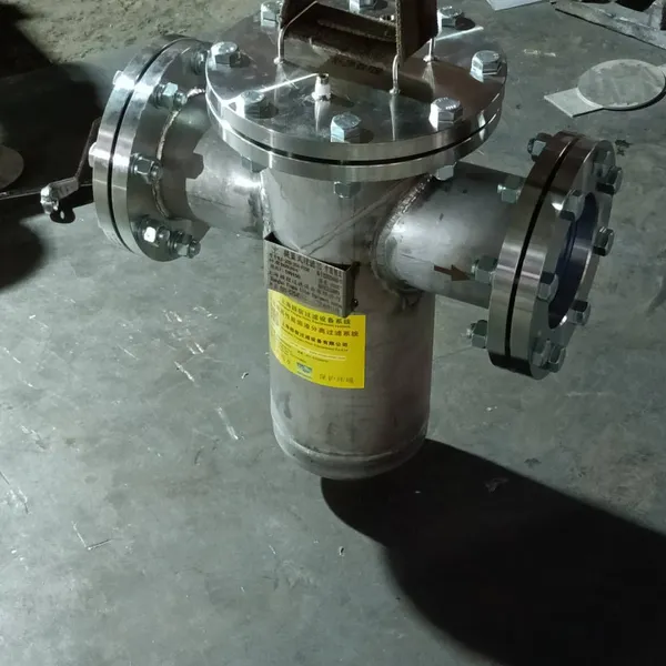 Precision Filter, Basket Filter, Ylf-220-304-f150, Ying su Ylf-220-304-f100 photo-2