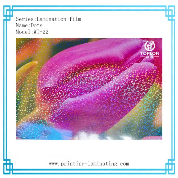 Dots/WT-22: 3D Film Laser Film Photo Protection Film Cold Lamination Film for Photos Laminated Roll