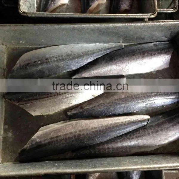 Frozen Spanish Mackerel Fillet in Carton IQF photo-6