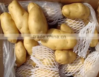 2015 Crop Chinese Fresh Holland Potato Best Quality