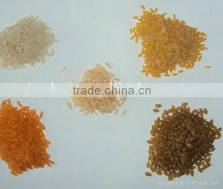 Single Screw Extruder Automatic Artificial Rice Plant photo-4