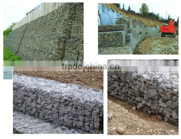 2016 New Product China Supplier Hexagonal Wire Netting photo-2