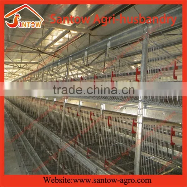 Steel Structure Chicken Egg Layer Cage Semi Automated Battery Cages for Chickens