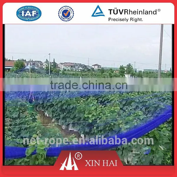 Orchard Nets/anti-bird Nets photo-2