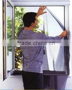 Insect Screen for the Window