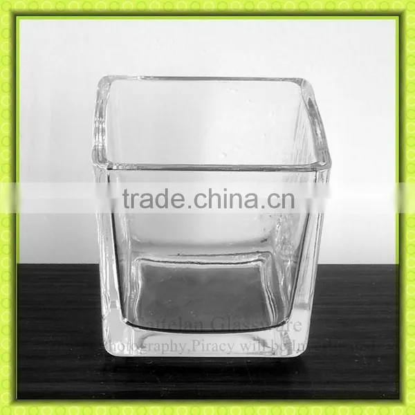 G365 Anhui Cattelan Glassware Factory Glass Material Square Vase for Fresh Flower for Home Decoration