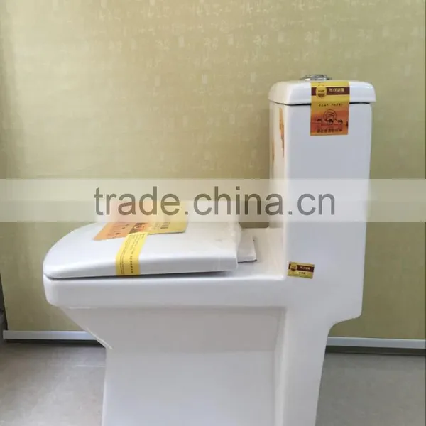 High Quality Bathroom Ceramic One Piece Toilet photo-5