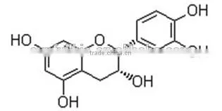 Green Tea Extract (-)-Epicatechin 90%,95%,98% photo-2