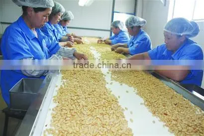 High Demand Export Products Wholesale Peanuts Raw Peanuts Price and Blanched Peanuts Kernel photo-2