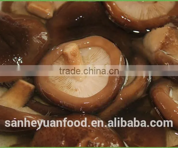 Good Quality Canned Shiitake Mushroom photo-2