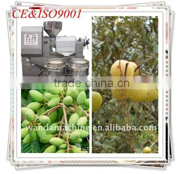 High Quality and Reasonable Price Combined Oil Press 6YL-120A photo-5