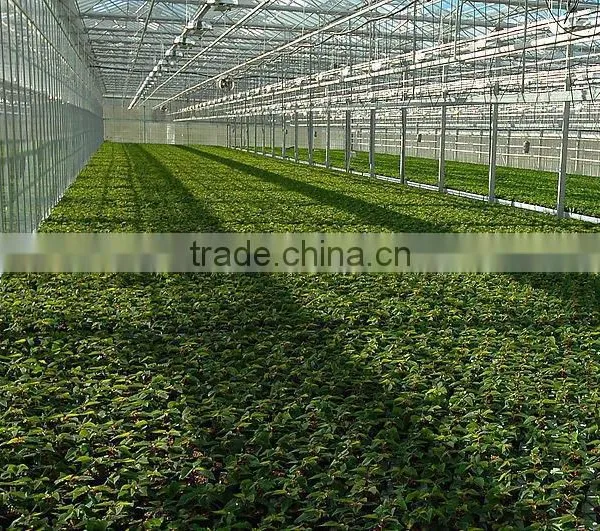 China Made and Best Economical Roofing Materials Hurricane-proof for Poultry Houses photo-4