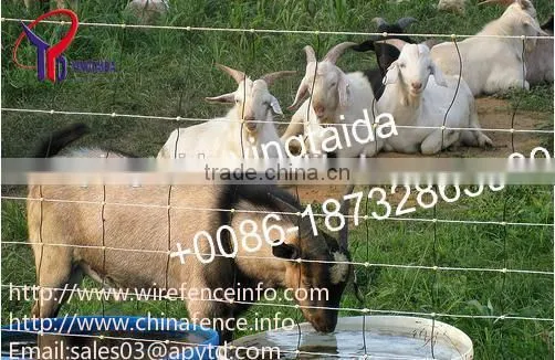 Wire Mesh Fence/cattle,Horse,Sheep,Chicken Grassland Fence/pig Farming Equipmen photo-2