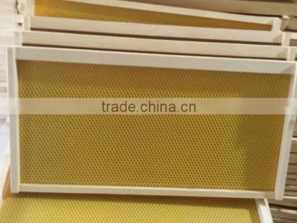 Best Bee Hive Foundation Sheet -high Quality Honey Bee Keeping -henan Suppliers photo-6