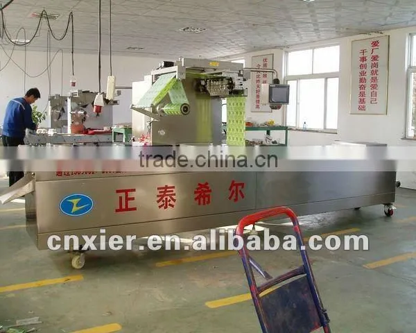 RZ420 Automatic Stretch Film Vacuum Packing Machine photo-5