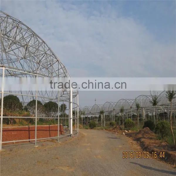 2016 Multi-span Glass Water Saving Green House photo-6